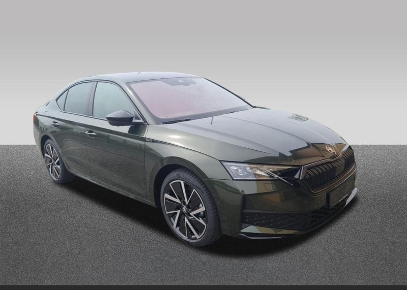 Skoda Octavia 1.5 TSI mHEV+Matrix+Winter+Fahrassistent