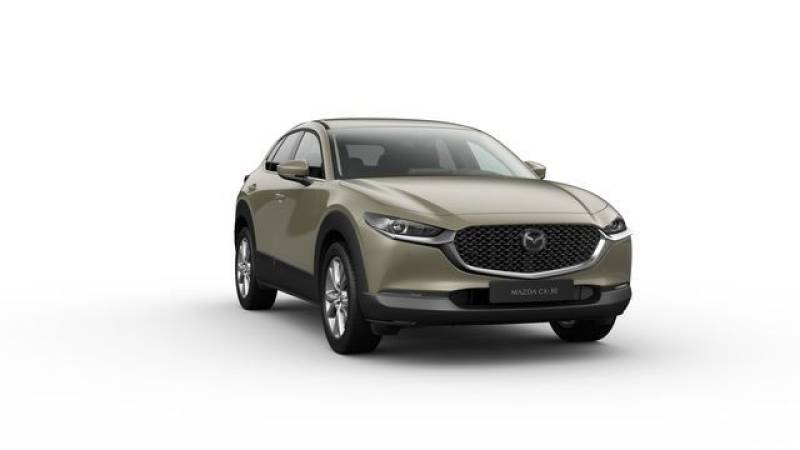Mazda CX-30 2.5L e-SKYACTIV G 140ps Mazda CX-30 2.5L 1