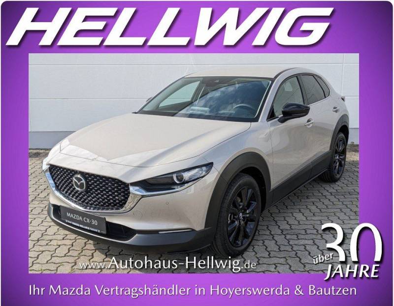 Mazda CX-30 2.0l Skyactiv-X Homura Kamera Navi NEU