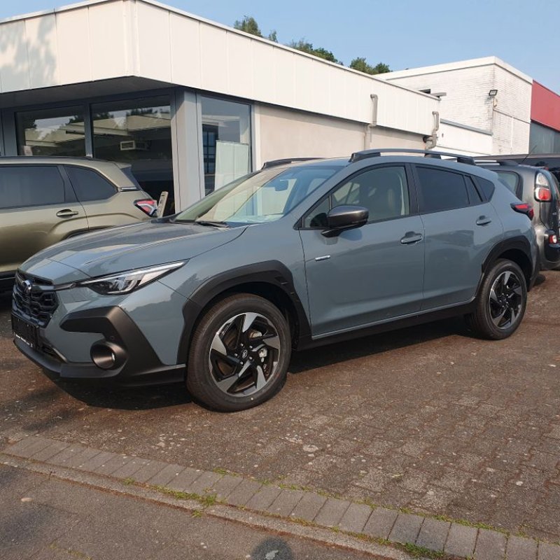 Subaru Crosstrek 2.0ie e-BOXER Platinum Lineart