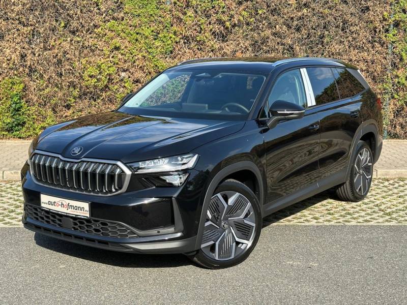 Skoda Exclusive 4x4 Leder STHZ NAVI KAMERA LM20"AHK