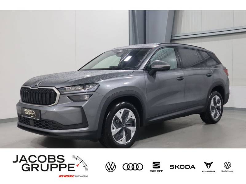 Skoda Kodiaq Selection 2,0 TDI 110 kW DSG ASSISTENZ,KO