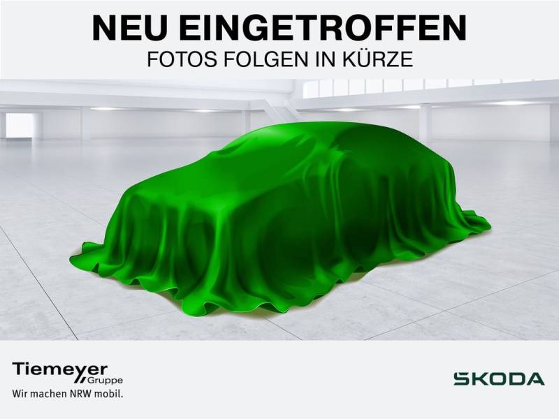 Skoda Kamiq 1.5 TSI DSG Monte Carlo PANO NAVI LED RFK