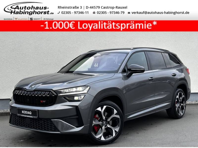 Skoda Kodiaq II 2.0 TSI DSG 4x4 RS - 7-Sitzer AHK Head