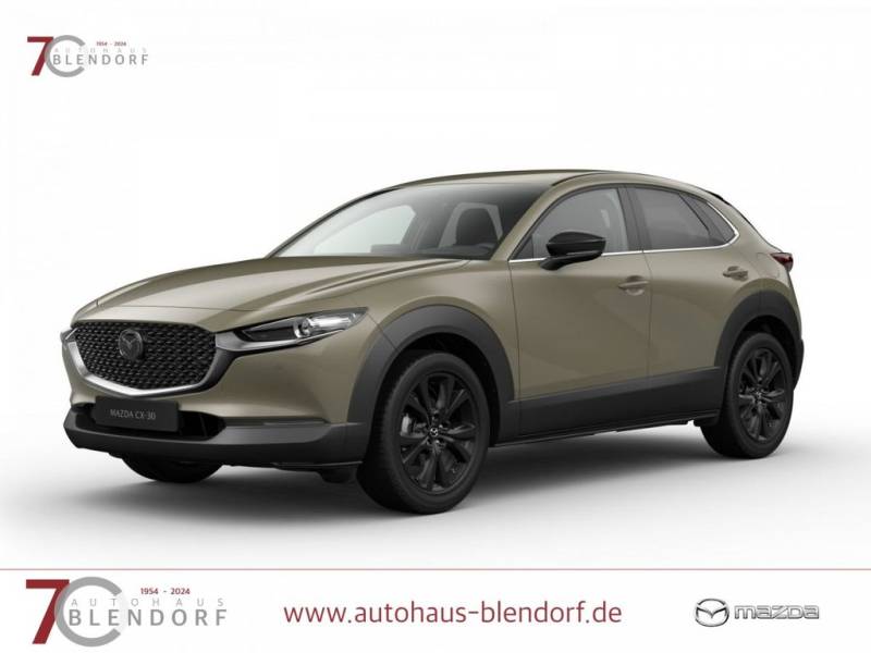 Mazda CX-30 Homura 140 Automatik Navi-Alexa-LED-Kamera