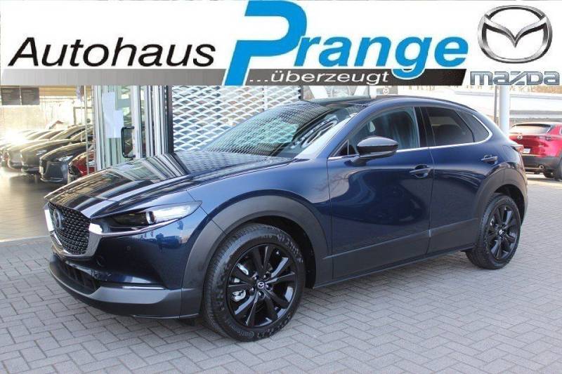 Mazda CX-30 M-Hybrid G-140 AT Homura NAVI ACAA SHZ HUD