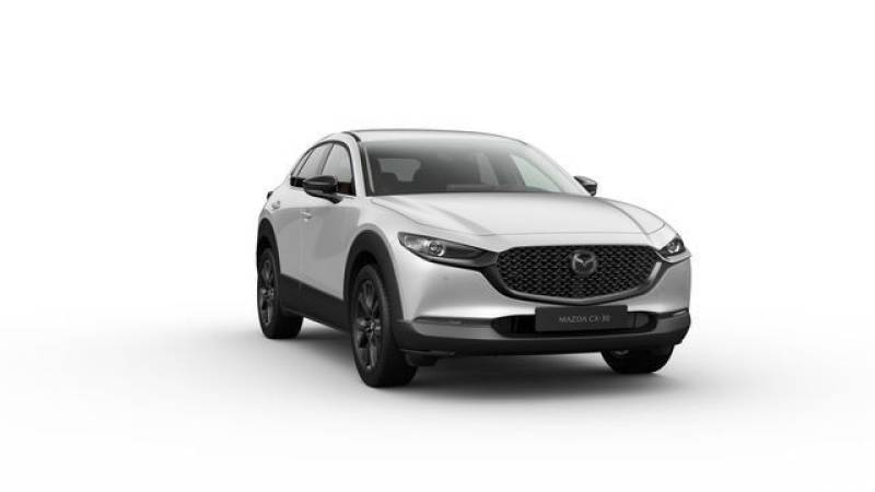 Mazda CX-30 Nagisa 186 PS *Bose*Kamera*Navi*Neuwagen*