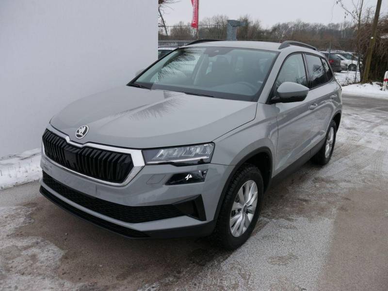 Skoda Karoq Selection 2.0 TDI DSG 4x4*AHK*PDC-HI*LED*S