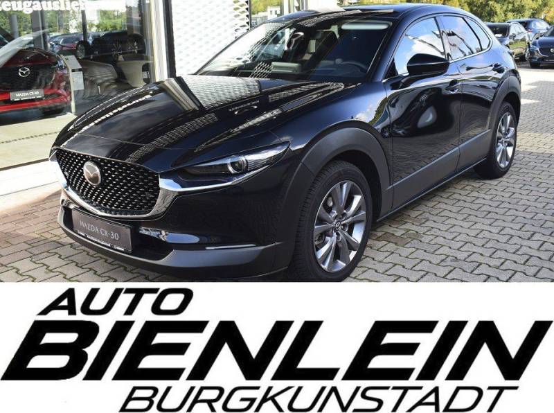 Mazda CX-30 2.5 140PS 6AG Exclusive Bose Matrix-LED 36
