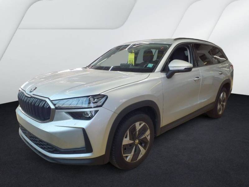 Skoda Kodiaq 2.0 TDI DSG 4x4 Matrix AHK HUD ACC Memory