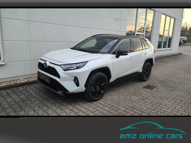 Toyota RAV 4 2.5 Style MJ25 Smart Entry*Leder*Totwinkel