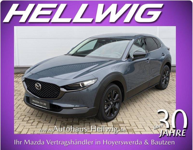 Mazda CX-30 2.5l (140PS) Nagisa Teilleder Bose Navi