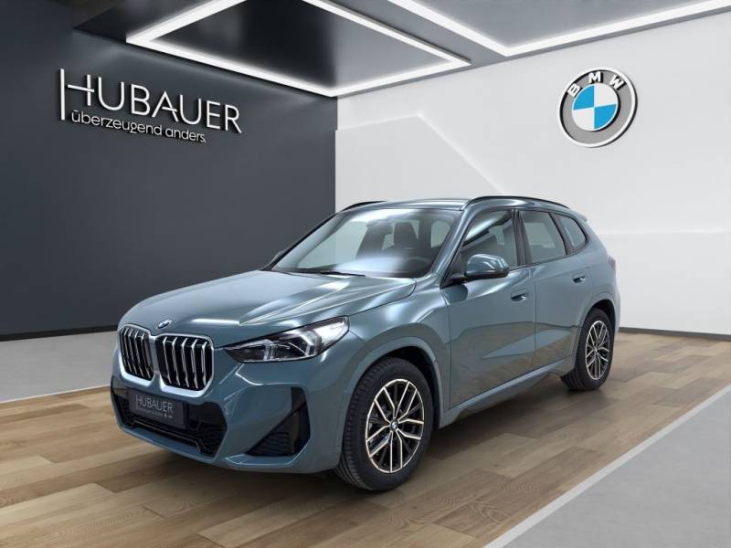 BMW X1 sDrive20i [M Sport, AHK, ACC, RFK, 18" LMR]