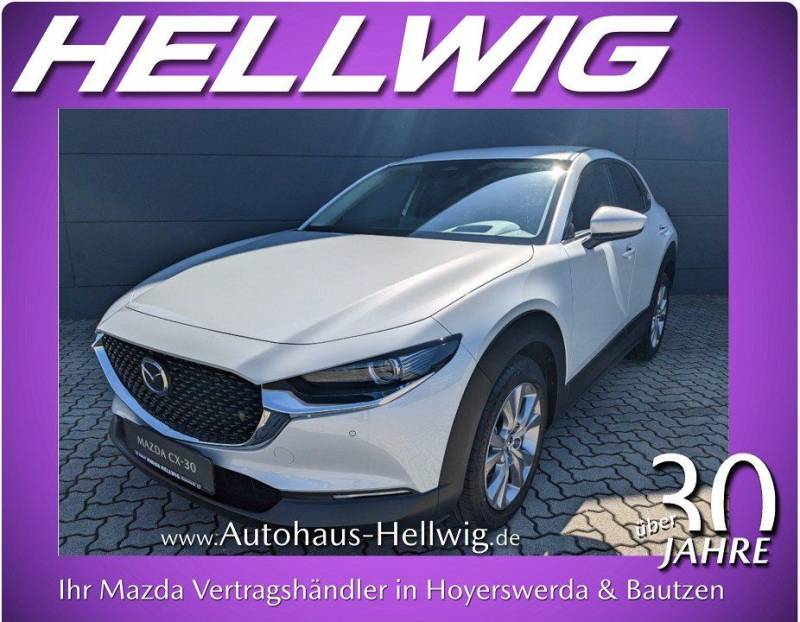 Mazda CX-30 2.0l Skyactiv-X Exclusive Bose Matrix-LED 