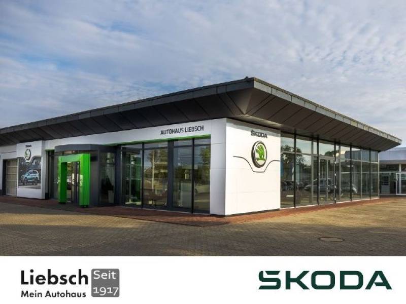 Skoda Kamiq Tour 1.5 TSI DSG ACC Klima Navi