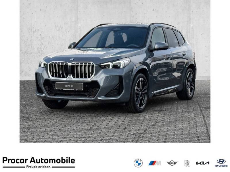 BMW X1 sDrive20i M Sportpaket * Panorama Glasdach * 
