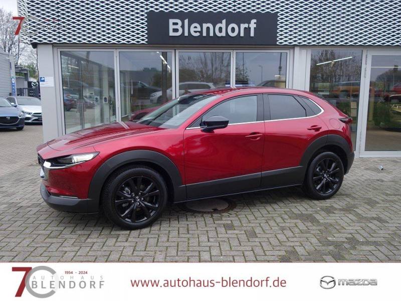 Mazda CX-30 Homura 140 Automatik Navi-Alexa-LED-Kamera