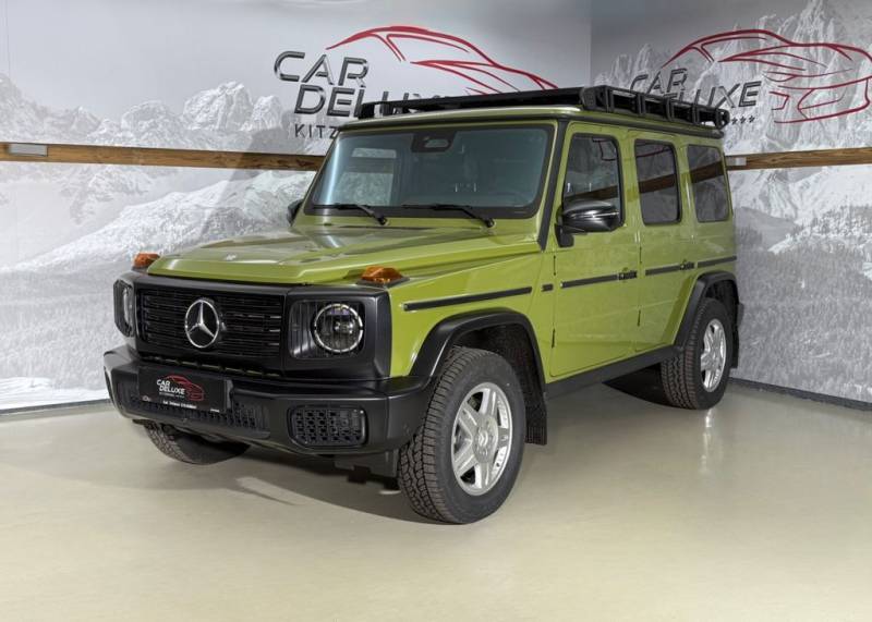 Mercedes-Benz G 450 d Stronger than 1980s/Dachträger/Stock