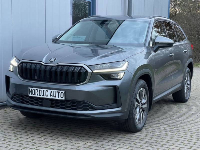Skoda Kodiaq 2.0 TDI 4x4 Selection+StandH+AHK+Kamera+M