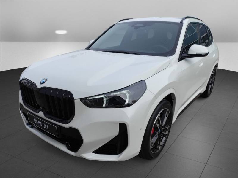 BMW X1 xDrive23i M Sportpaket Head-Up HK HiFi DAB