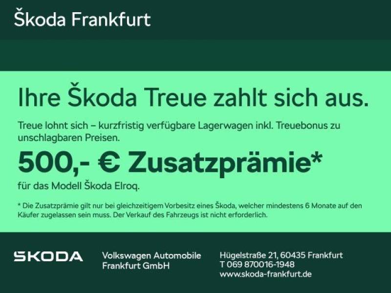 Skoda Elroq 50 Tour 55 kWh Batterie Elektromotor 125 k