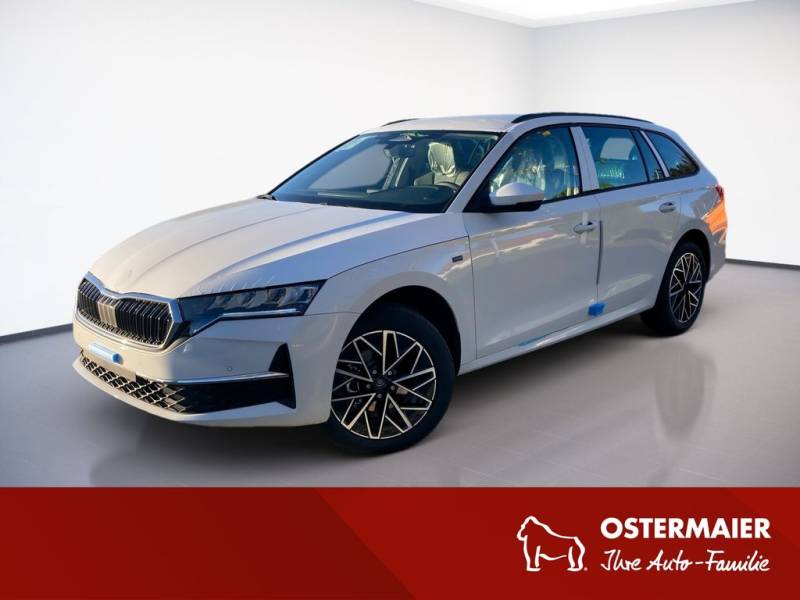 Skoda Octavia Combi Tour 2.0TDI LightA.DSG.NAV.AHK.AMB