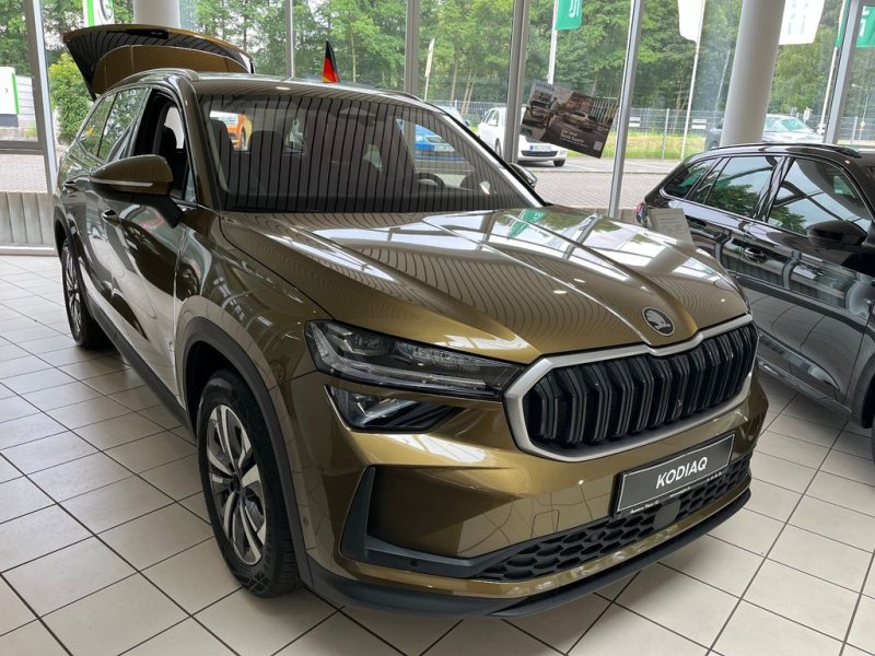 Skoda Kodiaq 2.0 TDI Selection 142 kW 4x4 DSG