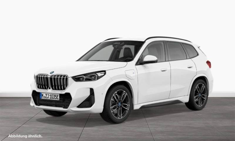 BMW X1 xDrive30e M Sport AHK Driv.Assist.Prof LED
