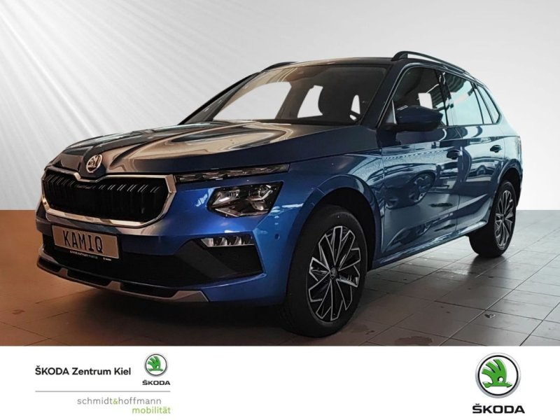 Skoda Kamiq Selection Navi Einparkhilfe Fenster el.
