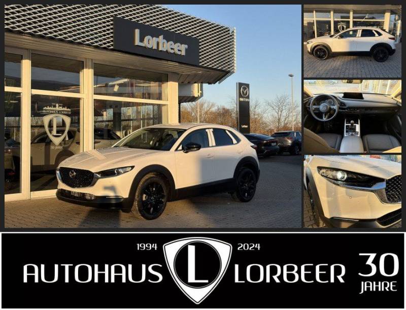 Mazda CX-30 2.5L e-SKYACTIV 140PS 6AT HOMURA NAVI