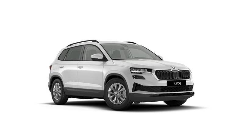 Skoda Karoq Selection RFK-LED-Carplay-Klima-PDC-SHZ...