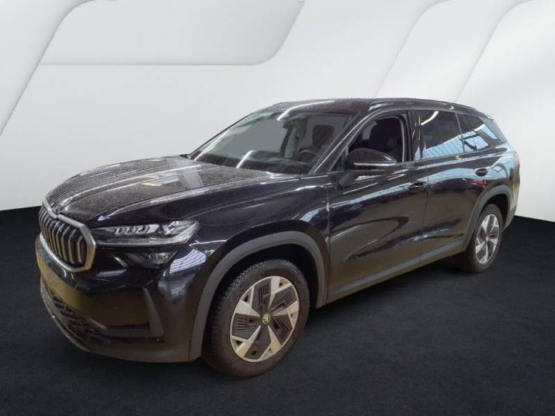 Skoda Kodiaq 2.0 TDI DSG 4x4 Matrix AHK HUD ACC Memory