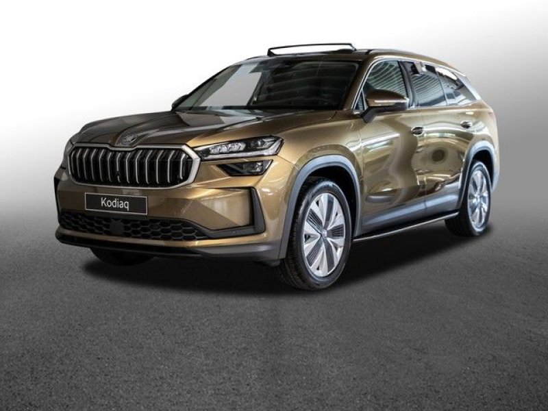 Skoda Kodiaq Selection 1,5 TSI m-HEV DSG 110 kW