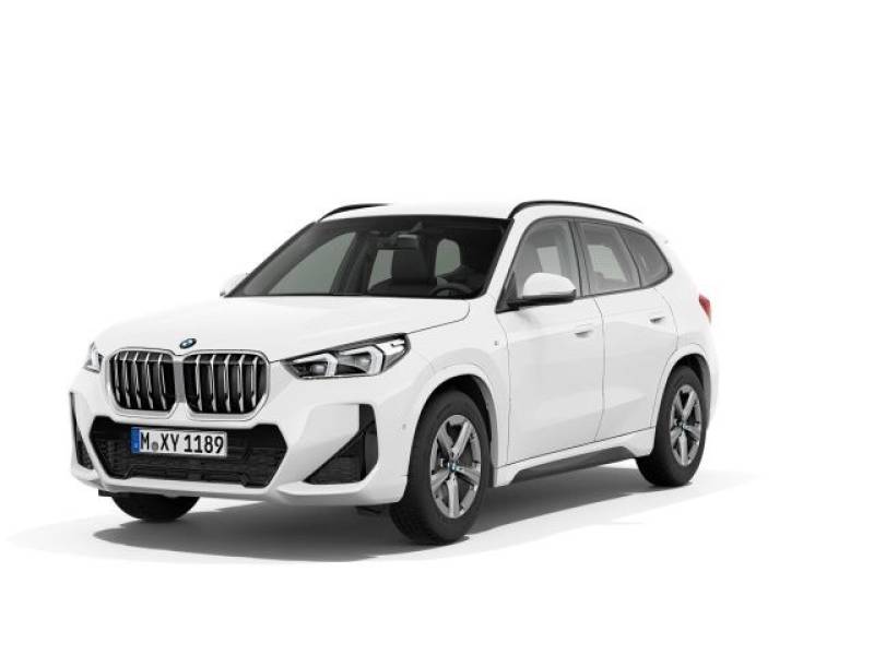 BMW X1 sDrive20i Steptronic M Sportpaket AHK