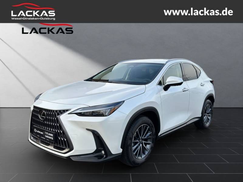 Lexus NX 450h+ E-Four AWD *Executive* Interieur - Pake