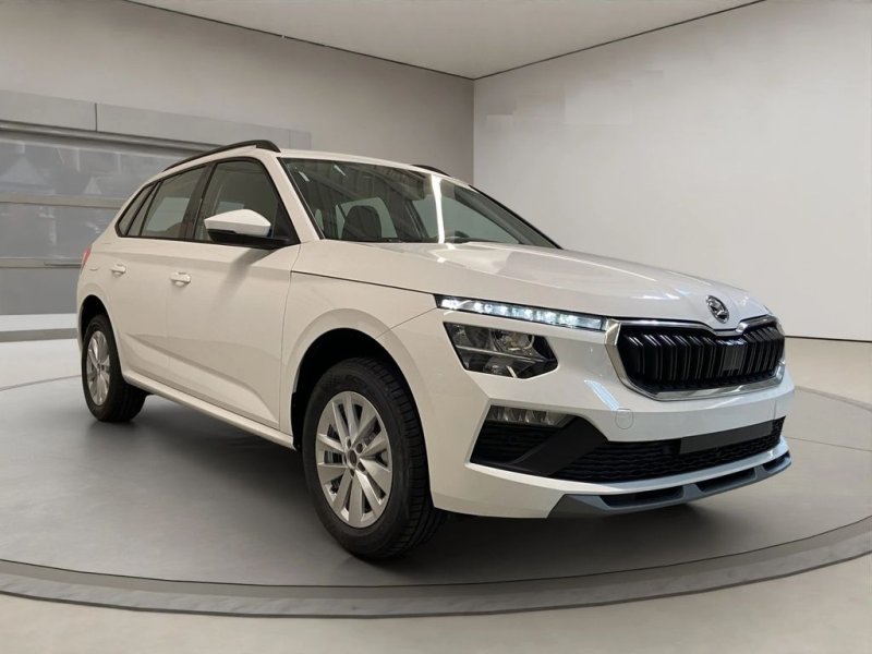 Skoda Kamiq 1.5 TSI DSG Selection AHK AAC 2PDC SHZ Kam