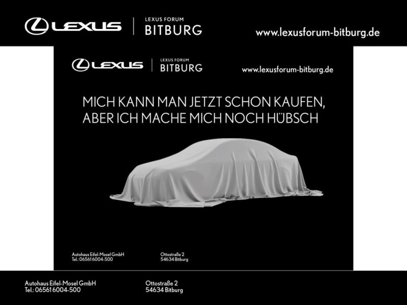 Lexus RX 450 h+ E-Four Business Line