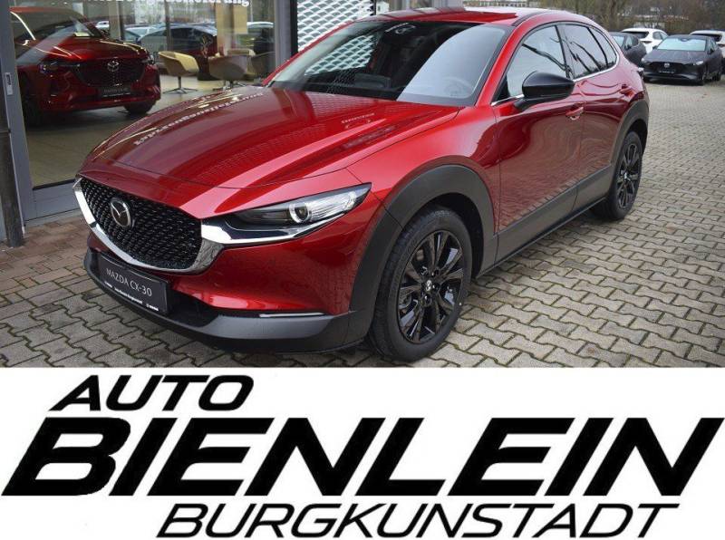Mazda CX-30 2.5 140PS 6AG Homura Voll-LED Navi Kamera