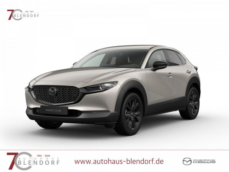 Mazda CX-30 Nagisa 140 2025-BOSE-Kamera-Navi