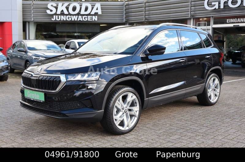 Skoda Karoq 2.0lTDI DSG 4x4 Edition AHK Kamera Vario F