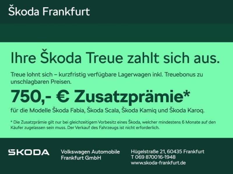 Skoda Karoq Balance 1,5 TSI 110 kW 7-Gang-DSG 750€ Zus