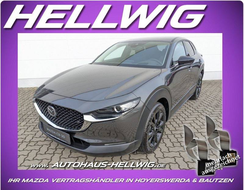 Mazda CX-30 2.0l Skyactiv-X Homura Navi LED Kamera NEU