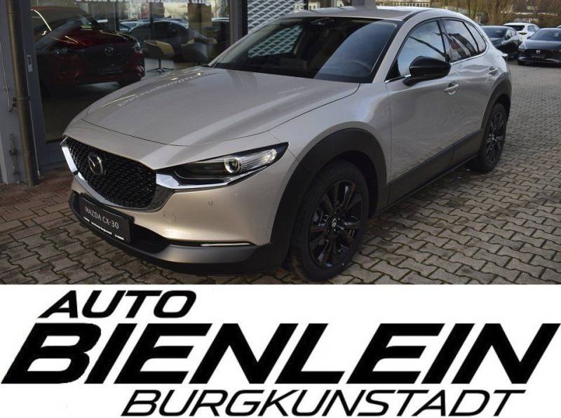 Mazda CX-30 2.5 140PS 6AG Homura Voll-LED Navi Kamera
