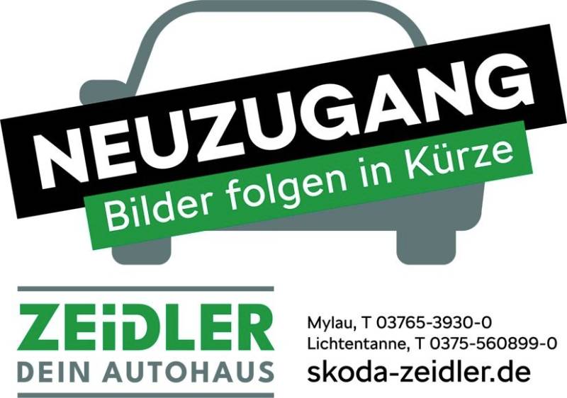 Skoda Kamiq 1.5 TSI Tour DSG Navi Kam. ParkAss 2xKlima