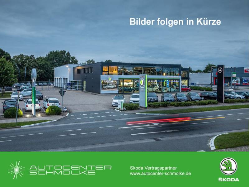 Skoda Octavia 2.0 TDI DPF Balance *DSG*SHZ*AHK*