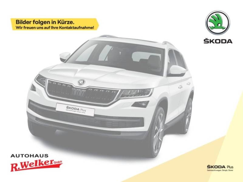 Skoda Kodiaq Selection 2.0 TDI 142kW 4x4 ''Pano-Schieb