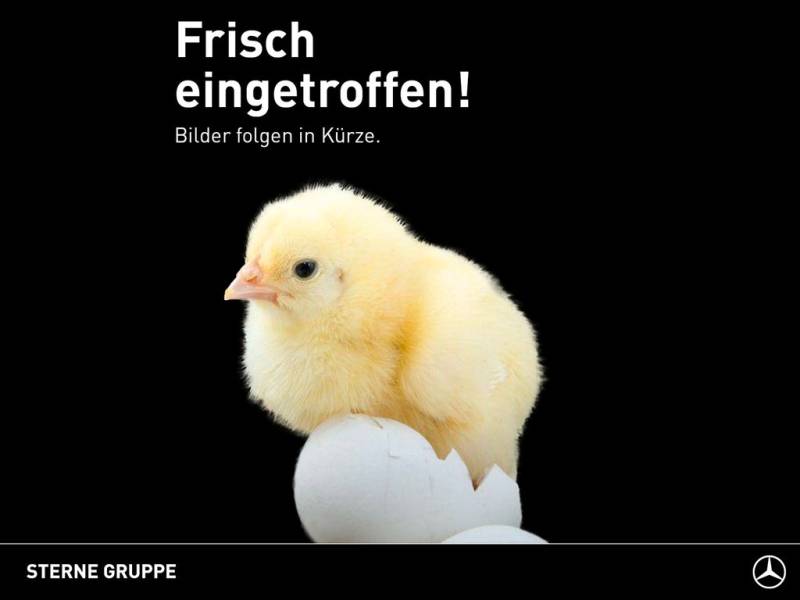 Smart #1 Pro+ (66kWh) Pano.-Dach/eSitz./LED/Navi/Klima