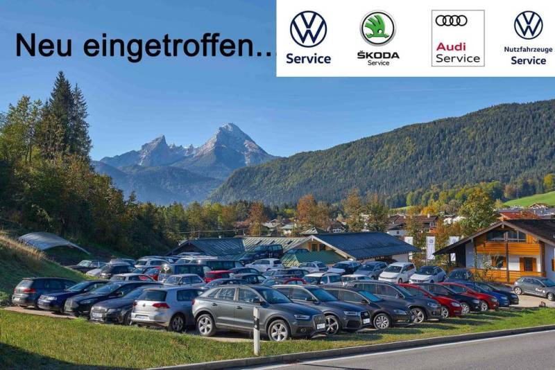 Volkswagen T-Roc Life 1.5 TSI DSG ACC Climatronic Winterpak