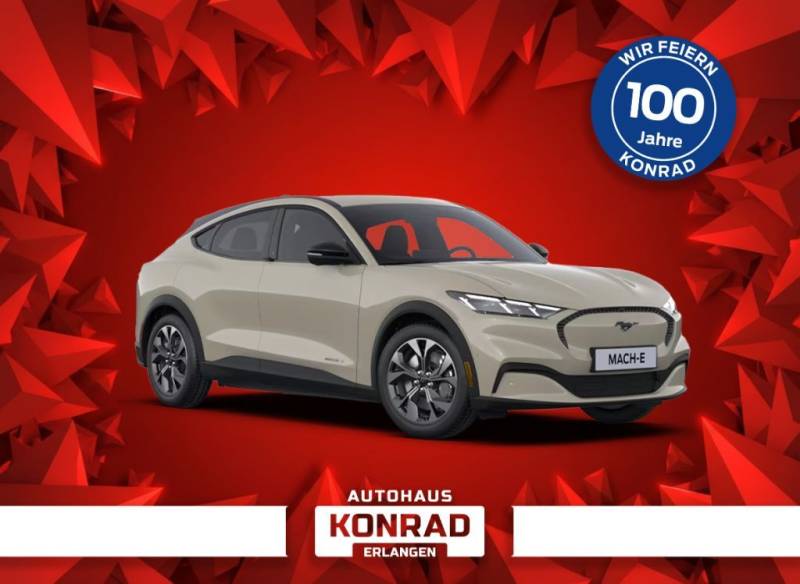 Ford Mustang Mach-E Privatkunden Barkaufangebot *Neuj