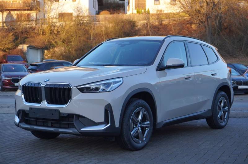 BMW X1 sDrive20i Automatik Lenkradheizung AHK Kamera